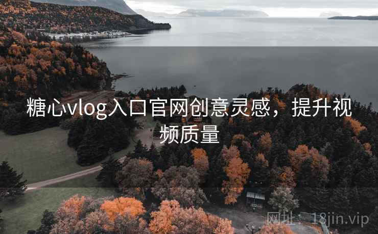 糖心vlog入口官网创意灵感，提升视频质量
